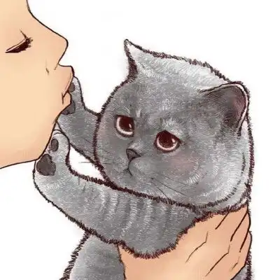 猫系头像动漫可爱动漫