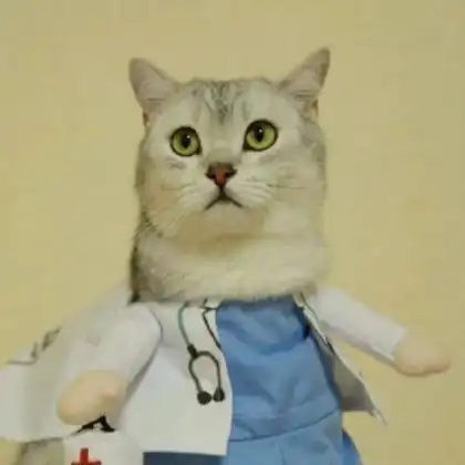 猫系女友的头像可爱蒋劲