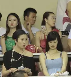 成亮娇妻闺蜜豪乳一夜爆红征婚寻球员男伴图