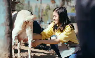  99年小花李兰迪上综艺,秋日温暖穿搭活力可爱,秒变治愈系女生