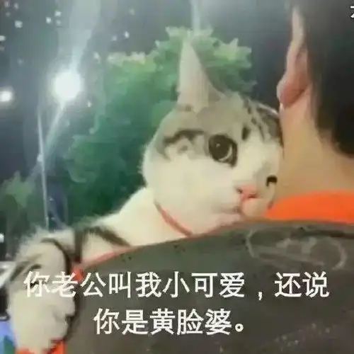  约我出来玩,她却一直在玩游戏,什么游戏这么好玩