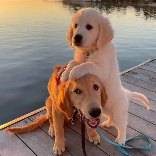 有趣的头像简直百看不厌呐 有趣的头像简直百看不厌呐