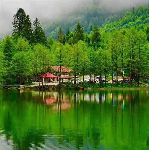  养眼风景,迷人的绿