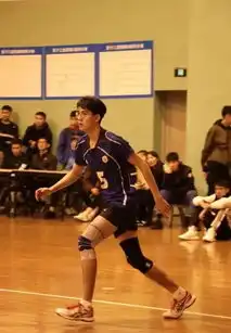  初恋男友脸校园翻版肖战修仙文男主颜,别人家学弟也太可了
