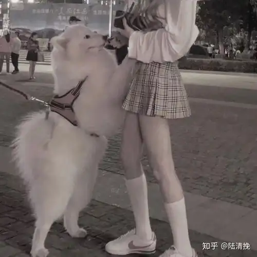  有哪些好看的女头像