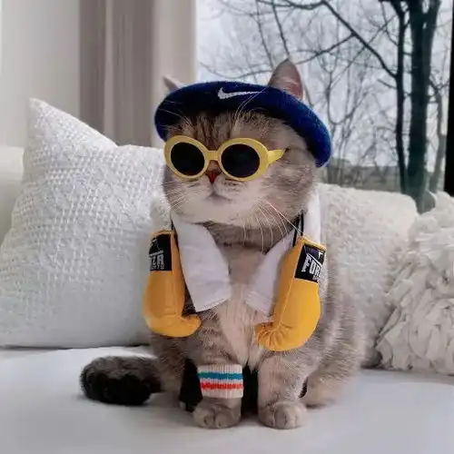 有点皮的趣味沙雕头像 有点皮的趣味沙雕头像