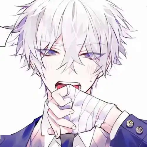  帅气且优美的动漫男女头像