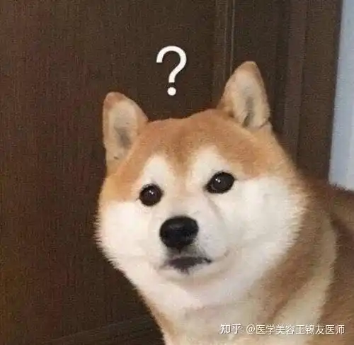  乔雅登为什么那么贵