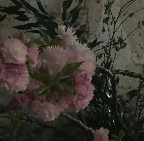  捧花唯美治愈系背景图