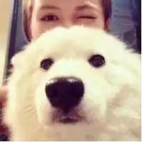  微信头像女生霸气