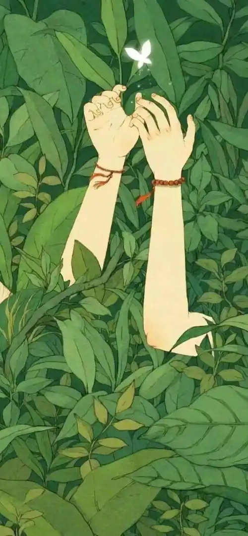 头像微信绿色系精选壁纸