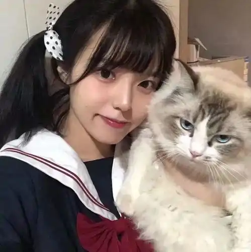 猫系女友的头像可爱李凯