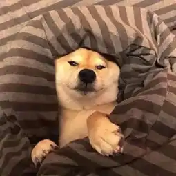  你已被群主移出群聊