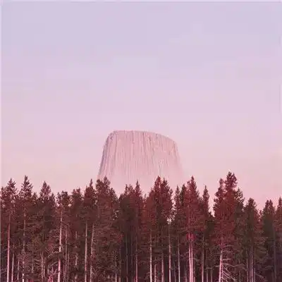 有意境的高清风景系情侣