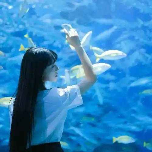 女人最好的修养独立,善良,谦逊 女人最好的修养独立,善良,谦逊