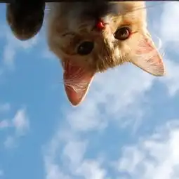 唯美图片大全唯美意境图片带文字唯美的图片女生腾牛个性网 唯美图片大全唯美意境图片带文字唯美的图片女生腾牛个性网