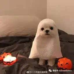  没有女朋友怎么办