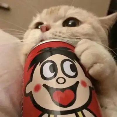 池乔爬爬可爱橘色猫猫情头自加情侣头像我要个性网 池乔爬爬可爱橘色猫猫情头自加情侣头像我要个性网