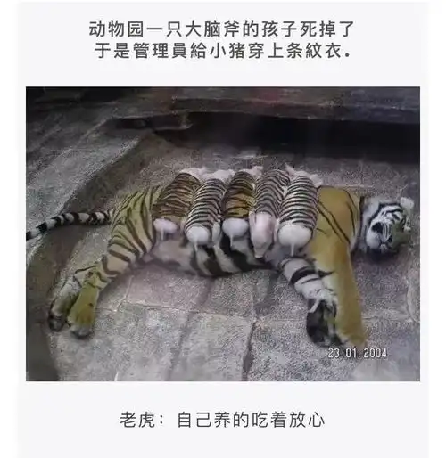  神评段子合集女生管喜欢的男生叫小奶狗,那男生叫喜欢的女生呢