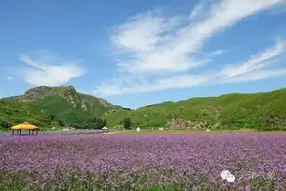  这几天好凉快,感觉被撩了呢然而马上又要
