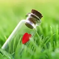 好看的绿地微信头像微信头像图片大全 好看的绿地微信头像微信头像图片大全