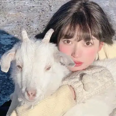  小清新森系女生头像,女头森系小清新治愈