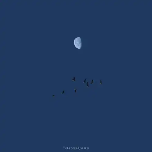 一些干净简约的头像 一些干净简约的头像