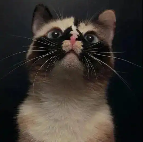 100张百看不厌的头像,快点收藏起来 100张百看不厌的头像,快点收藏起来