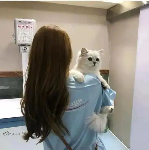  头像图片丨女生头像丨可爱的猫系女头1214