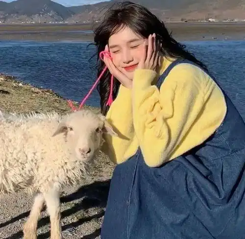 百看不厌的微信头像 百看不厌的微信头像