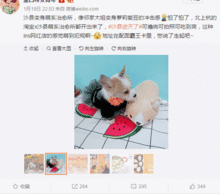 淘宝x沙县开了这家萌系治愈所,ins画风萌得外卖小哥都不认得了 淘宝x沙县开了这家萌系治愈所,ins画风萌得外卖小哥都不认得了