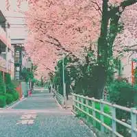  微信头像红色系风景微信头像图片大全
