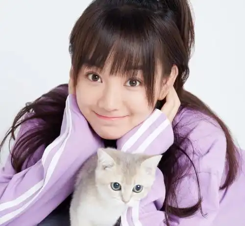 猫系女友的头像可爱mp3