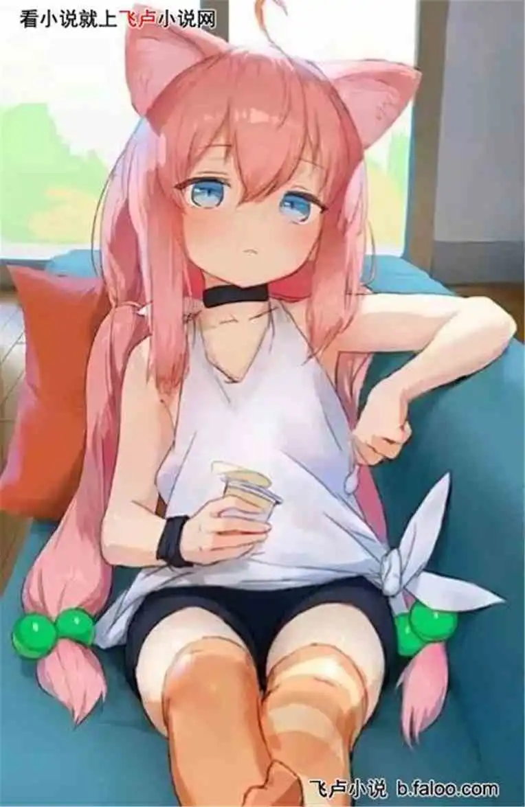  2猫宫日向次元传承系统