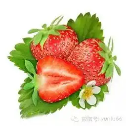  春季四种热门水果孕妈要少吃