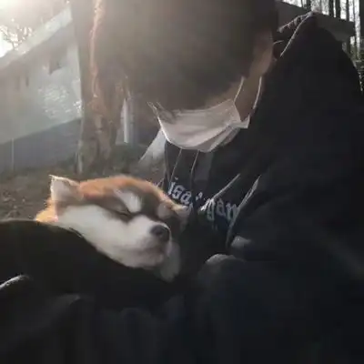 高级感头像男真人