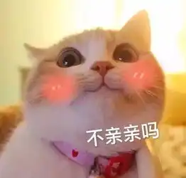 猫系女友的头像可爱头像