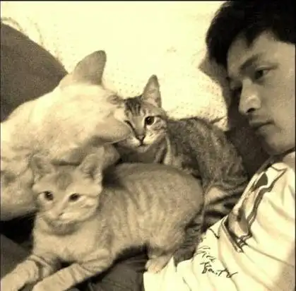  嗜猫如命的明星,刘亦菲养十只,容祖儿却不敢再养