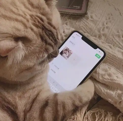  我的收藏