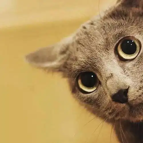 百看不厌的微信头像 百看不厌的微信头像