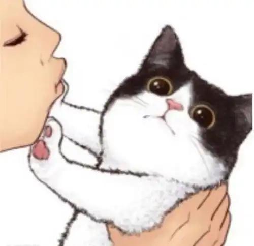  舔猫