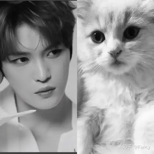 猫系长相女生头像