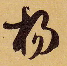  杨