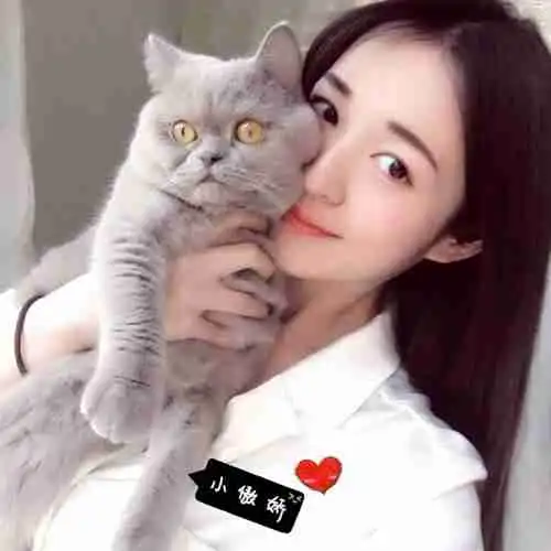  蓝眼睛的猫女郎微信头像图片大全