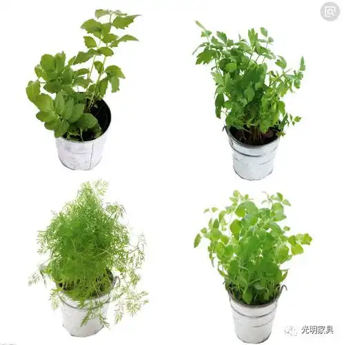 早春家具的好色之道,还你生活一抹早春的生机 早春家具的好色之道,还你生活一抹早春的生机