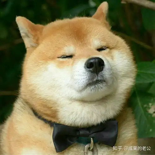  学字体设计,先要临摹宋体黑体,可是怎么临啊