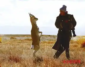  可可西里世界自然遗产地的科学保护之路