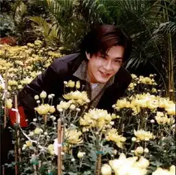 头像丨我喜欢你,像风走了八千里 头像丨我喜欢你,像风走了八千里