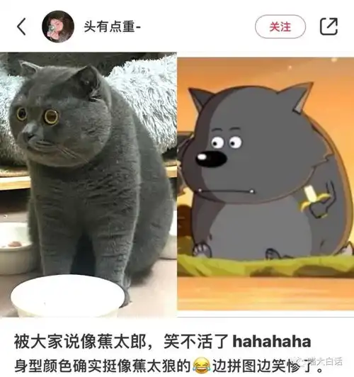  给闺蜜的私信误发到公司群哈哈哈哈救命太社死了