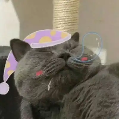 池乔爬爬可爱橘色猫猫情头自加情侣头像我要个性网 池乔爬爬可爱橘色猫猫情头自加情侣头像我要个性网